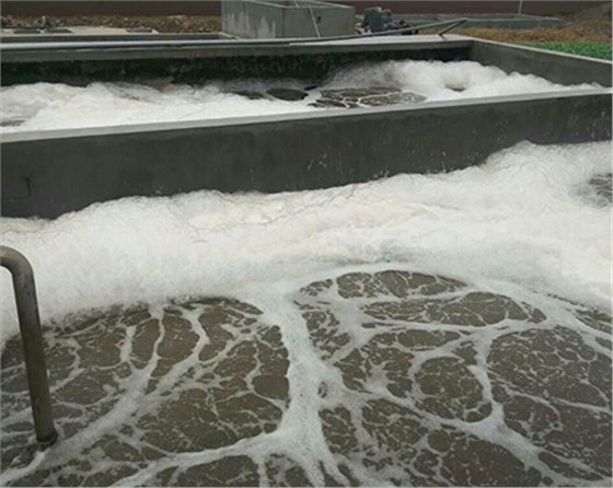 黑偉的污水處理鼓風(fēng)機(jī)質(zhì)量可靠壽命長！