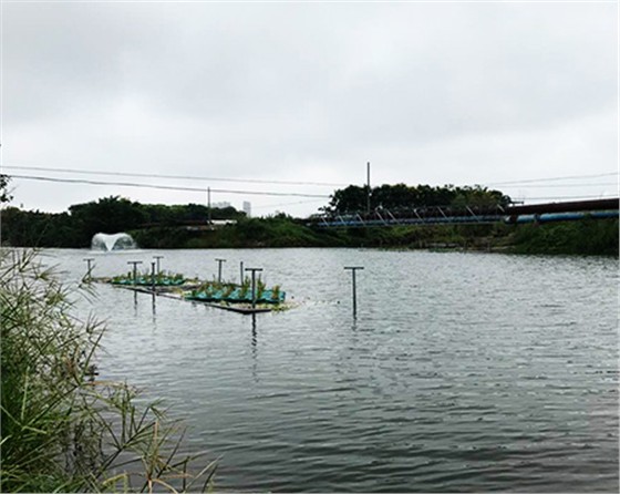 未標(biāo)題-黑偉黑偉沉水式風(fēng)機使用方便噪音?。? />
</p>
        </div>
        <!--分頁-->
        <div   class=