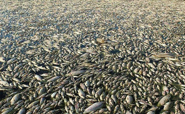 沉水風(fēng)機(jī)能否通過(guò)涂層技術(shù)提升耐腐蝕性